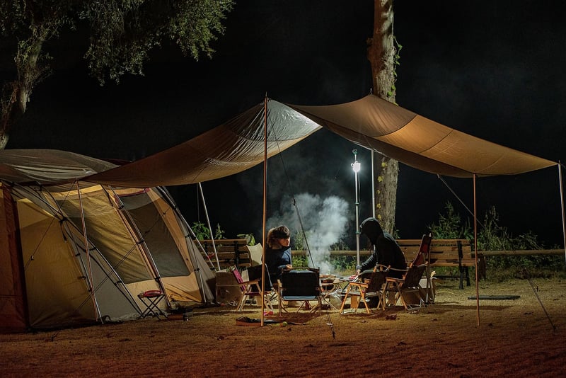 Time Traveler Gatherings